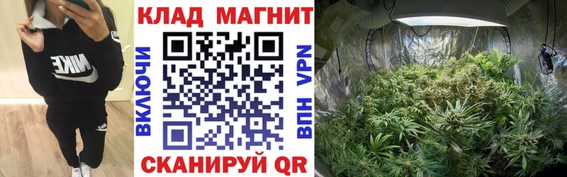 Где купить Онега ГАШ  Кокаин  Меф мяу мяу  Канабис 