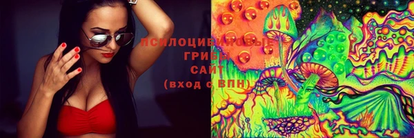 прущий лед Аркадак