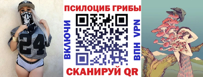 Псилоцибиновые грибы мицелий  KRAKEN ссылки  Онега 